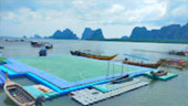 เกาะเจมส์บอนด์ 007 Day Trip ครบทุกฉาก ที่พังงา