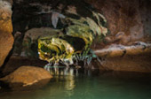 เกาะเจมส์บอนด์ 007 Day Trip ครบทุกฉาก ที่พังงา