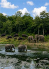 ซาฟารีสัตว์ป่ากุยบุรี ซาฟารีสัตว์ป่ากุยบุรี