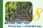Nature Day Trip ถ้ำพระยานคร + ธรรมชาติเขาแดง