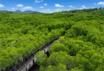 วนอุทยานปราณบุรีและปากน้ำปราณ วนอุทยานปราณบุรีและปากน้ำปราณ