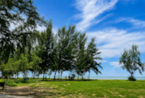 วนอุทยานปราณบุรีและปากน้ำปราณ วนอุทยานปราณบุรีและปากน้ำปราณ