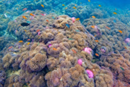 อุทยานแห่งชาติหาดวนกร อุทยานแห่งชาติหาดวนกร