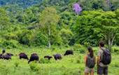 จุดชมสัตวป่า กุยบุรี จุดชมสัตวป่า กุยบุรี