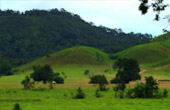Best of Ranong ทะเลระนอง 3 วัน 2 คืน