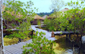 Best of Ranong ทะเลระนอง 3 วัน 2 คืน