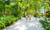 กิจกรรมบนเกาะ: พายัค เดินป่าชมธรรมชาติ