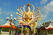 Passion Hop : 3 วัน 2 คืน เกาะแตน เกาะมัตสุ่ม พักสมุย