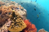 Explore Trang: ตรัง 4 วัน 3 คืน